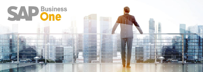 ¿Cómo saber si mi empresa necesita SAP Business One?