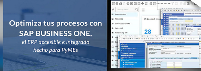 ¿Qué es SAP Business One?