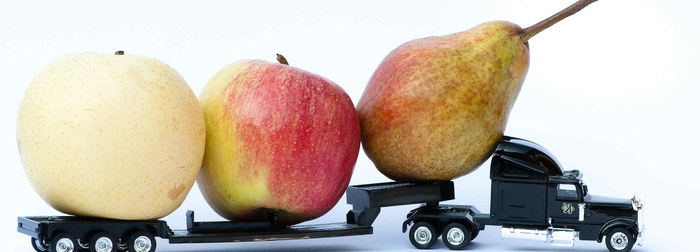 Logra una gestión exitosa de suministros en tu cadena de restaurantes