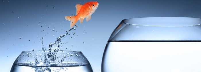 ¿Cuál es la relación entre el tamaño de una empresa y su ERP?