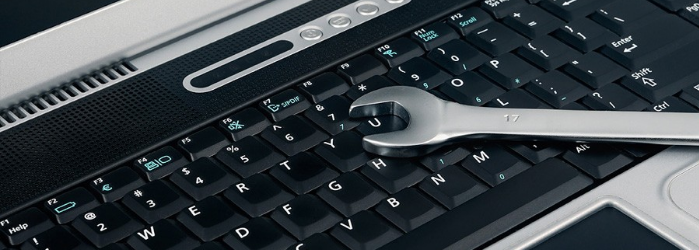 ¿Estándar o personalizado? Elige el mejor soporte de SAP Business One