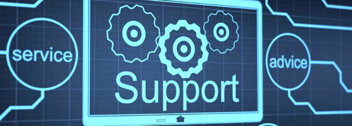 Soporte de SAP Business One: invierte en el futuro