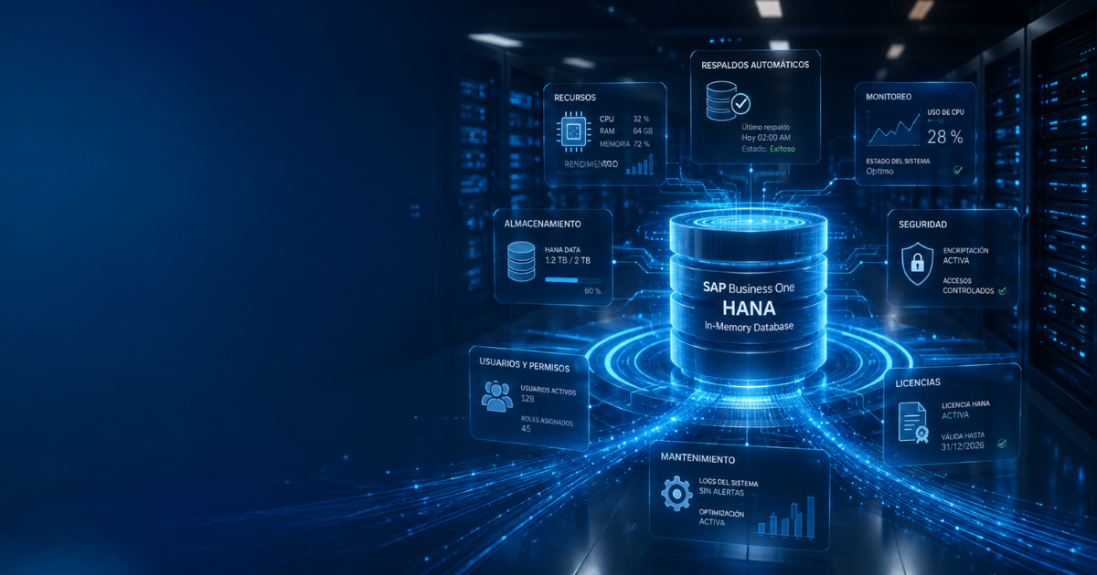 Administración de base de datos en SAP Business One versión HANA